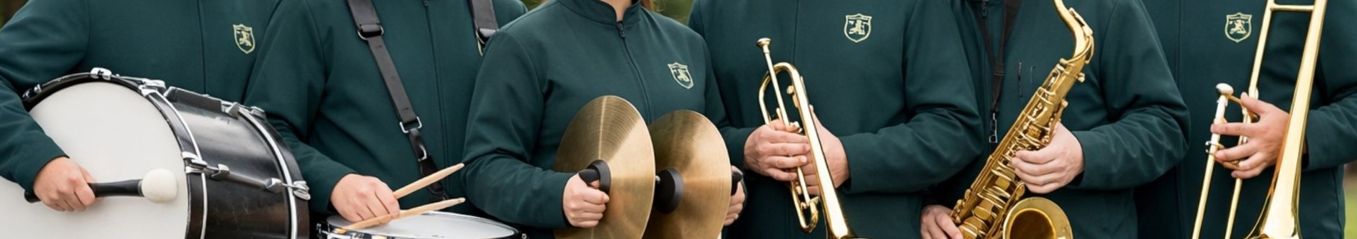 bandinha para eventos